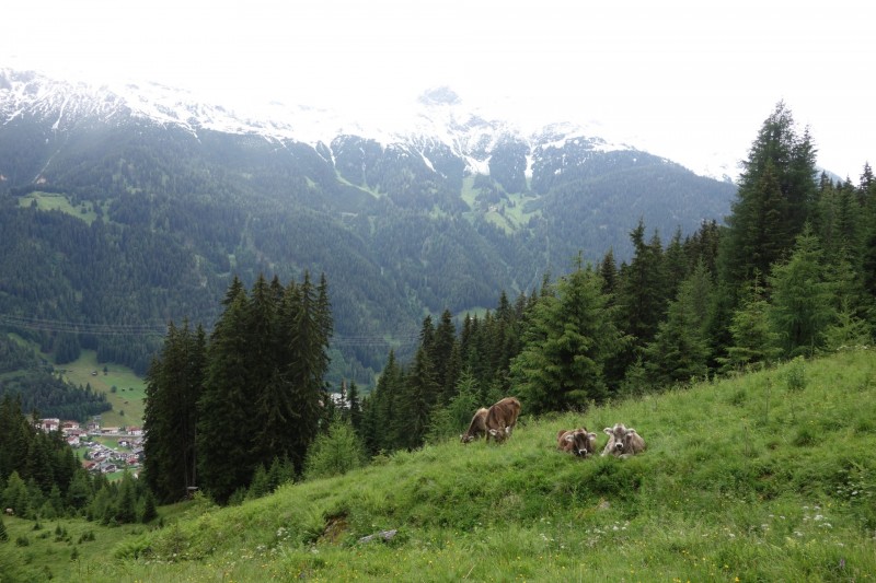 Rendlbahn - Rendl-Alm