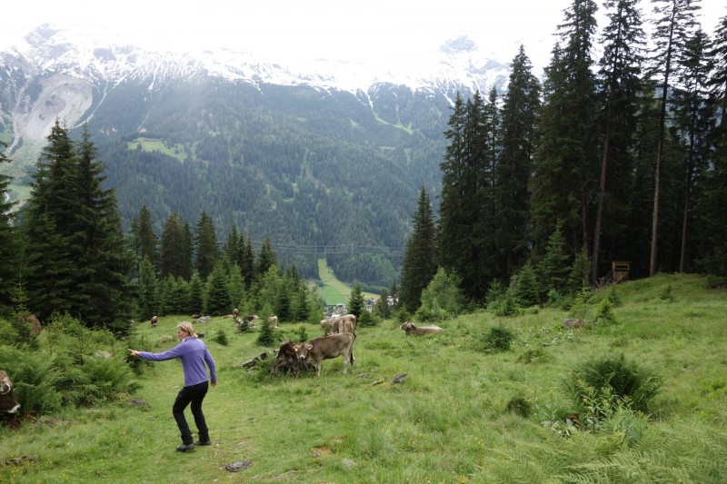 Rendlbahn - Rendl-Alm
