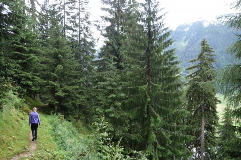 Rendlbahn - Rendl-Alm