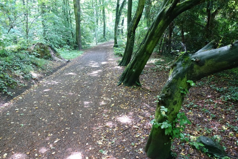 Rheinsteig Etappe 1: Bonn-Beuel - Knigswinter