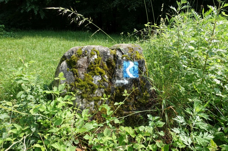 Rheinsteig Etappe 1: Bonn-Beuel - Knigswinter