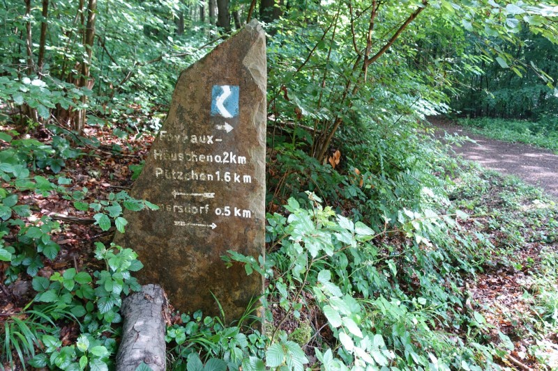 Rheinsteig Etappe 1: Bonn-Beuel - Knigswinter