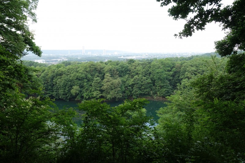 Rheinsteig Etappe 1: Bonn-Beuel - Knigswinter