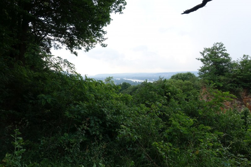 Rheinsteig Etappe 1: Bonn-Beuel - Knigswinter