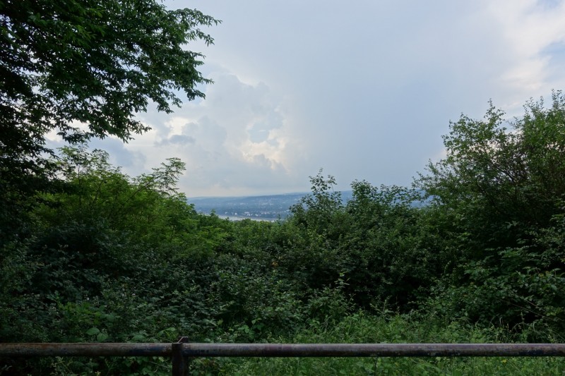 Rheinsteig Etappe 1: Bonn-Beuel - Knigswinter