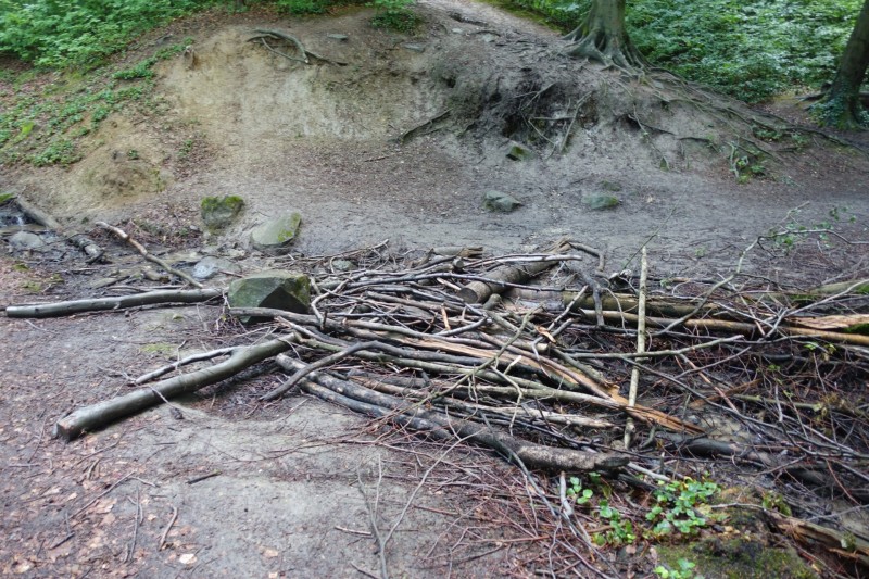 Rheinsteig Etappe 1: Bonn-Beuel - Knigswinter