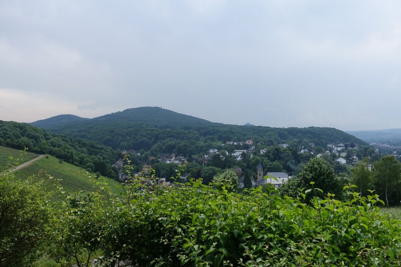 Rheinsteig Etappe 1: Bonn-Beuel - Knigswinter