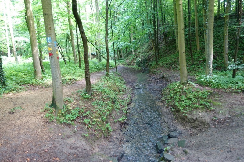 Rheinsteig Etappe 1: Bonn-Beuel - Knigswinter