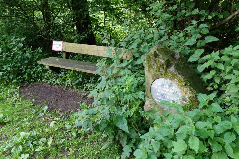 Rheinsteig Etappe 1: Bonn-Beuel - Knigswinter