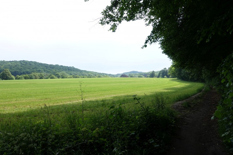 Rheinsteig Etappe 1: Bonn-Beuel - Knigswinter