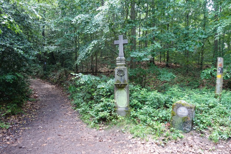 Rheinsteig Etappe 1: Bonn-Beuel - Knigswinter