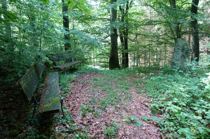Rheinsteig Etappe 1: Bonn-Beuel - Knigswinter