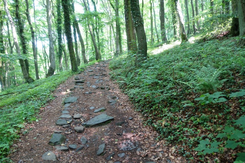 Rheinsteig Etappe 1: Bonn-Beuel - Knigswinter