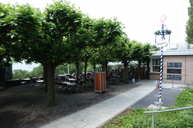Rheinsteig Etappe 1: Bonn-Beuel - Knigswinter