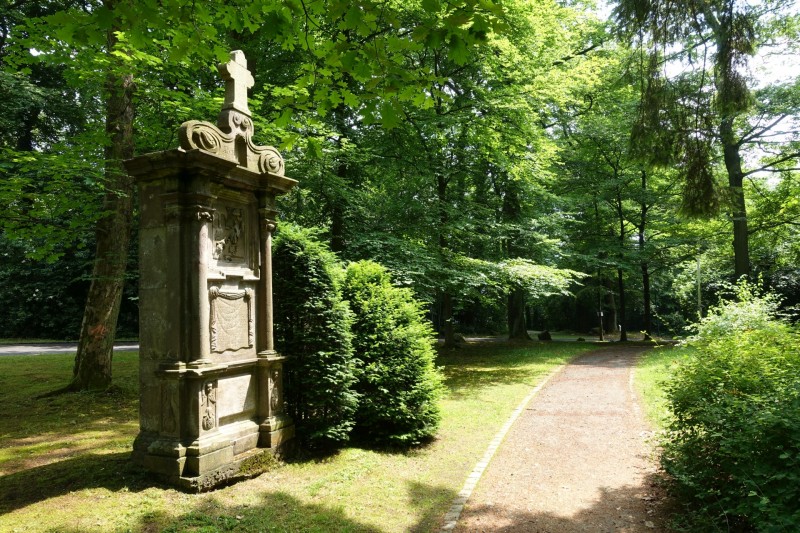 Rheinsteig Etappe 1: Bonn-Beuel - Knigswinter