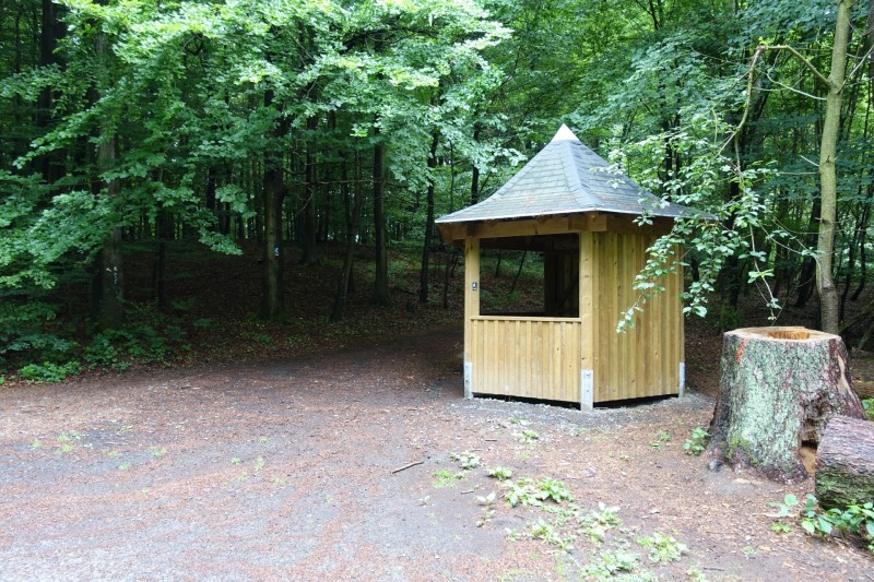 Rheinsteig Etappe 1: Bonn-Beuel - Knigswinter