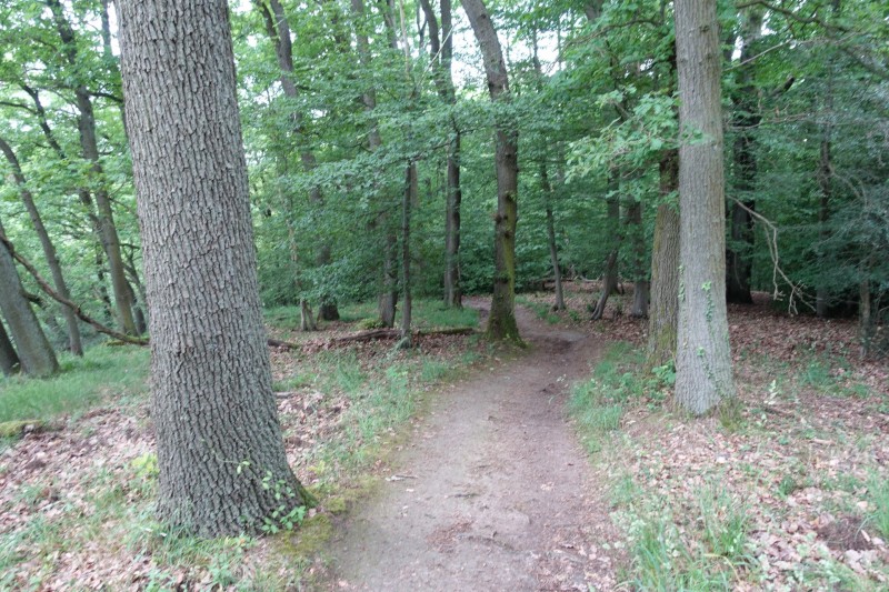 Rheinsteig Etappe 1: Bonn-Beuel - Knigswinter