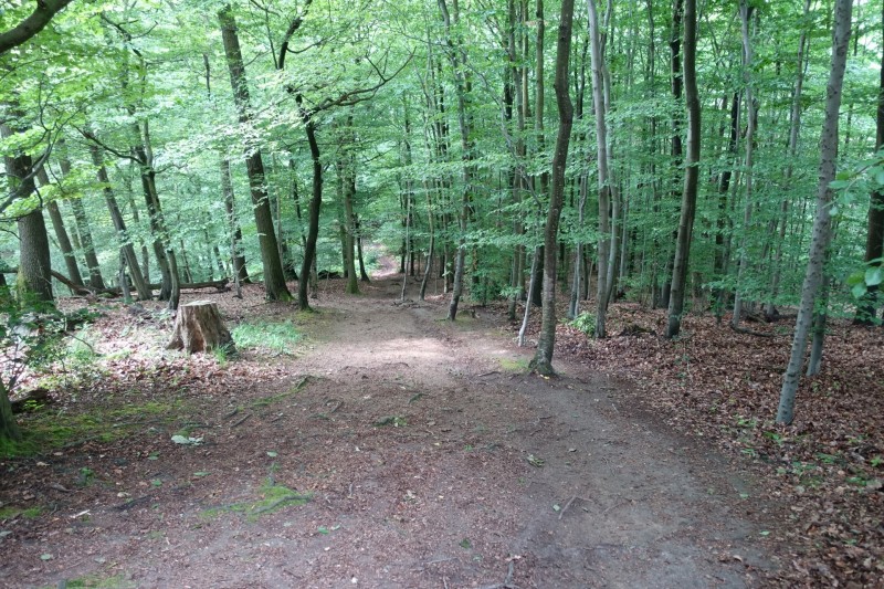 Rheinsteig Etappe 1: Bonn-Beuel - Knigswinter