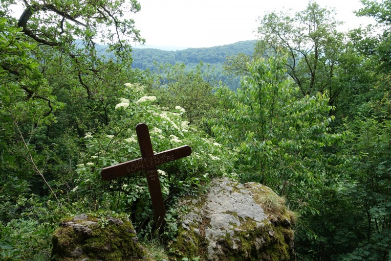 Rheinsteig Etappe 1: Bonn-Beuel - Knigswinter