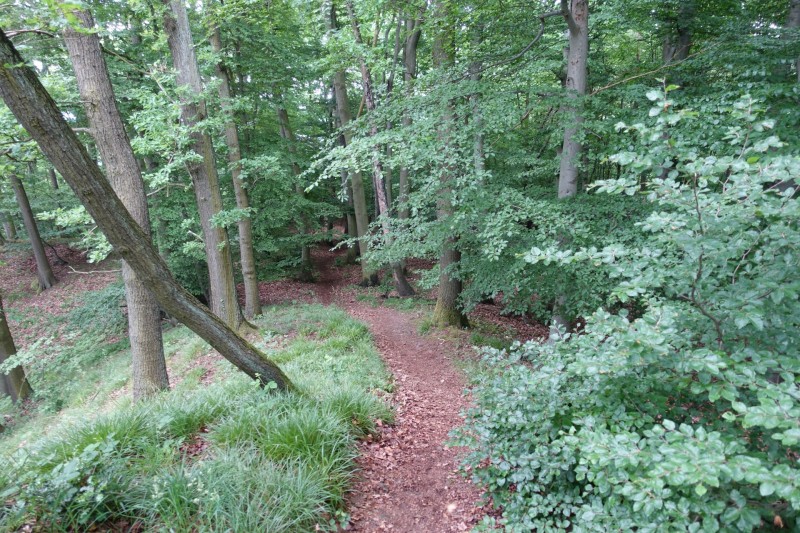 Rheinsteig Etappe 1: Bonn-Beuel - Knigswinter