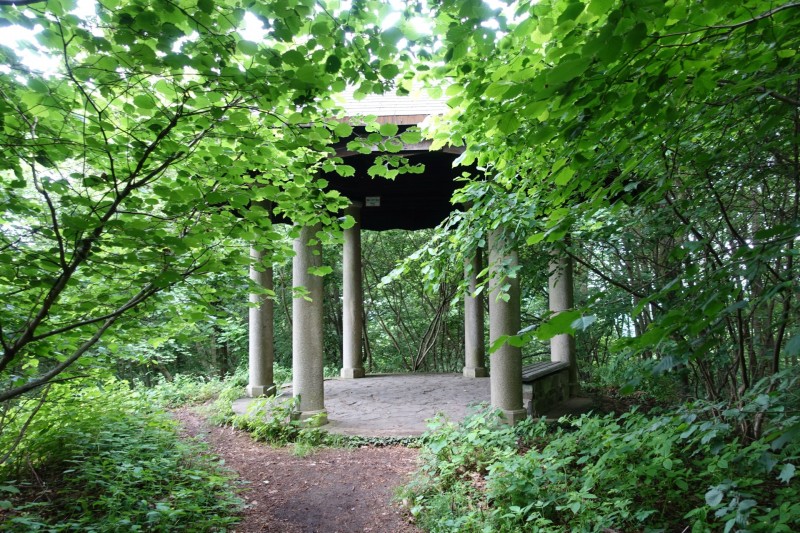 Rheinsteig Etappe 1: Bonn-Beuel - Knigswinter