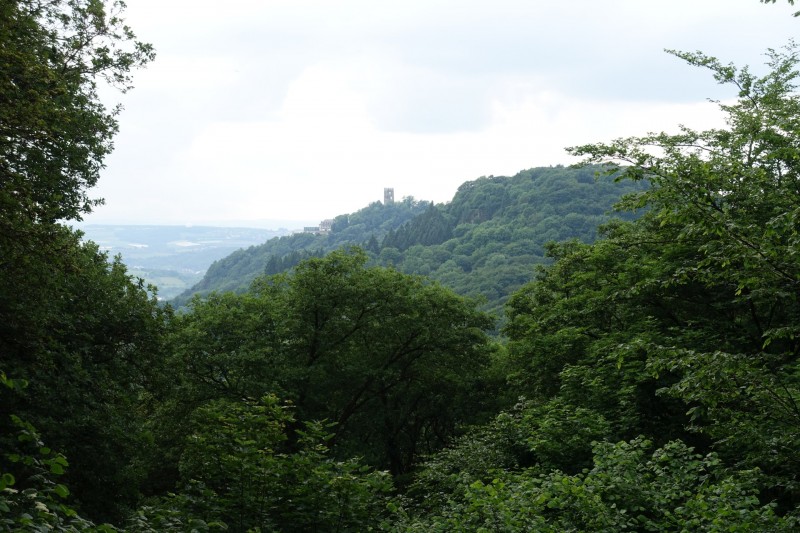 Rheinsteig Etappe 1: Bonn-Beuel - Knigswinter