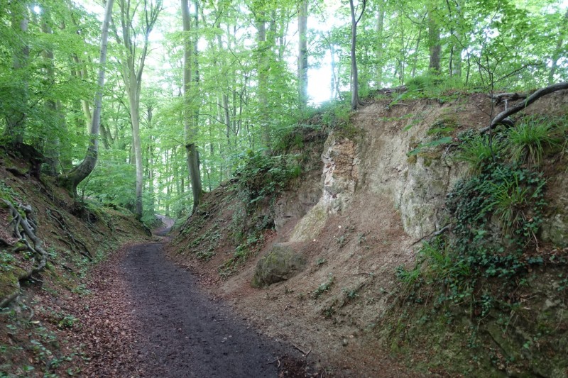 Rheinsteig Etappe 1: Bonn-Beuel - Knigswinter