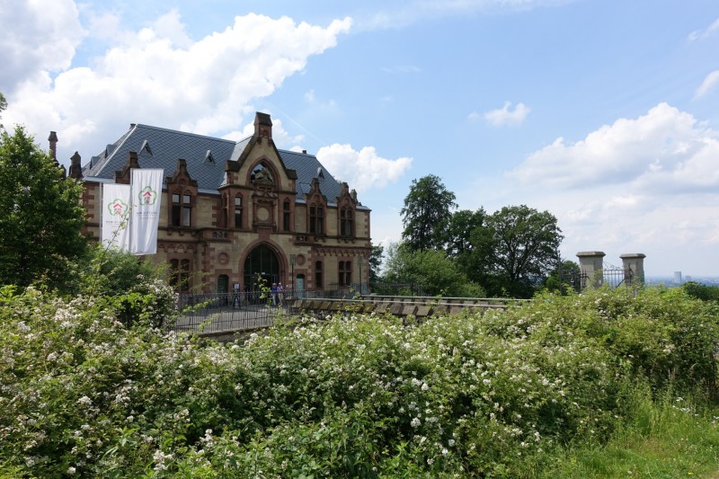 Rheinsteig Etappe 1: Bonn-Beuel - Knigswinter
