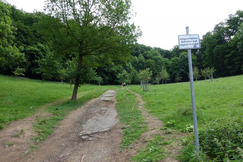 Rheinsteig Etappe 1: Bonn-Beuel - Knigswinter