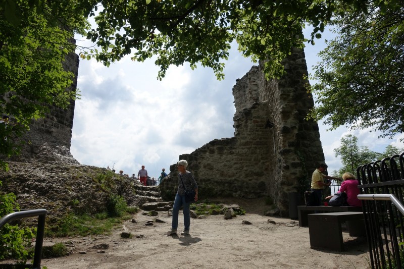 Rheinsteig Etappe 1: Bonn-Beuel - Knigswinter
