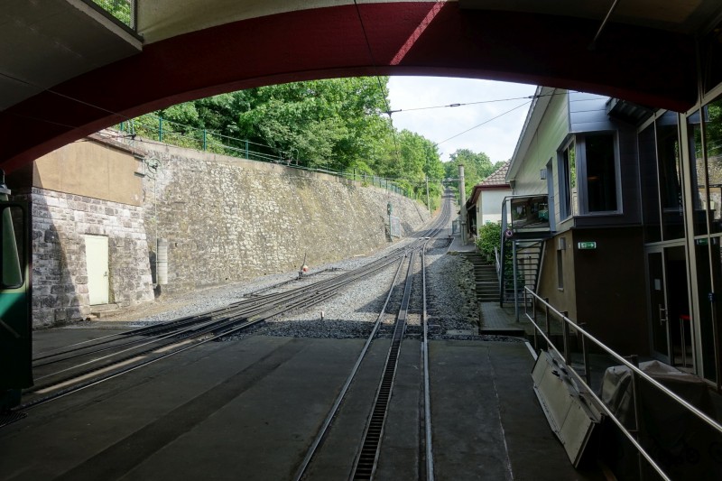 Rheinsteig Etappe 1: Bonn-Beuel - Knigswinter