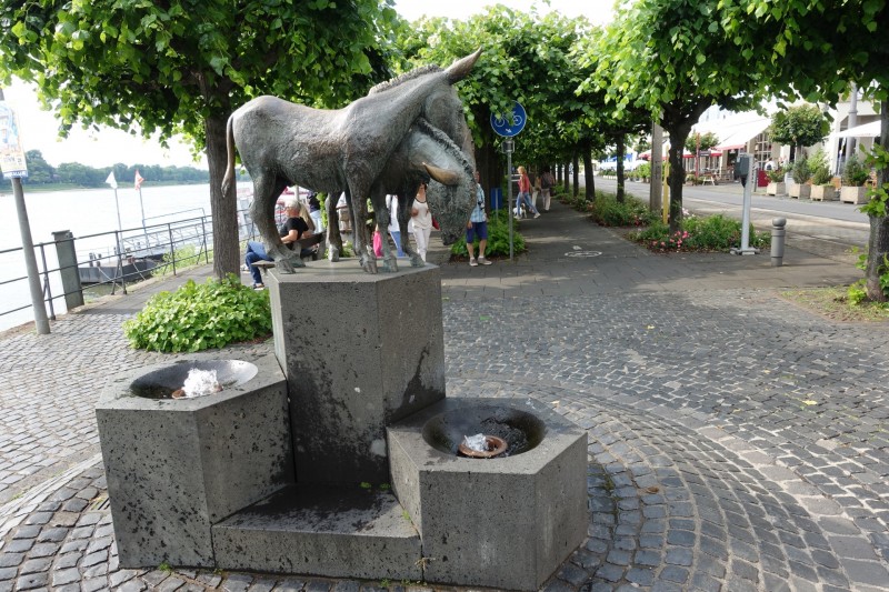 Rheinsteig Etappe 1: Bonn-Beuel - Knigswinter