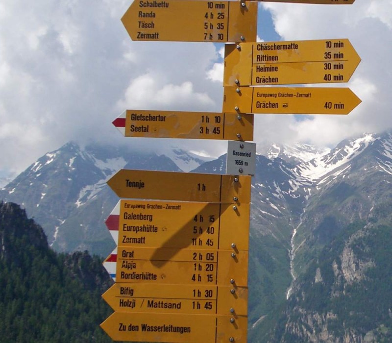 Riedgletscher