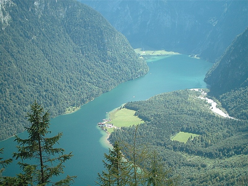 Rinnkendlsteig