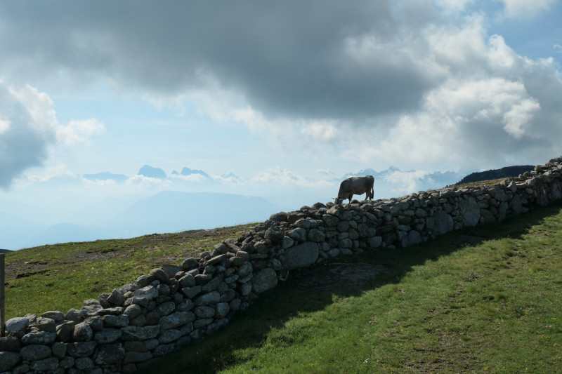 Rittner-Horn-Haus - Sarner Scharte - Villanderer Berg - Pfroderalm - Stfflhtte