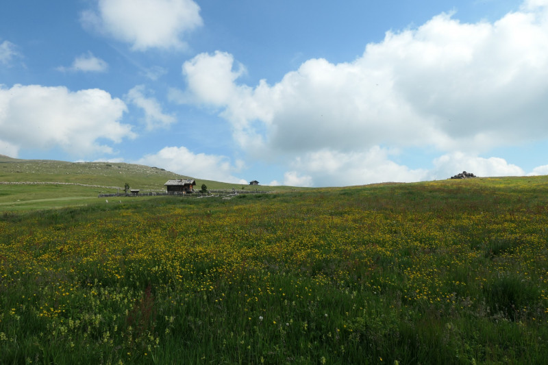 Rittner-Horn-Haus - Sarner Scharte - Villanderer Berg - Pfroderalm - Stfflhtte