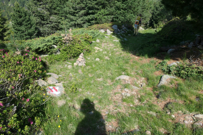 Rittner-Horn-Haus - Sarner Scharte - Villanderer Berg - Pfroderalm - Stfflhtte