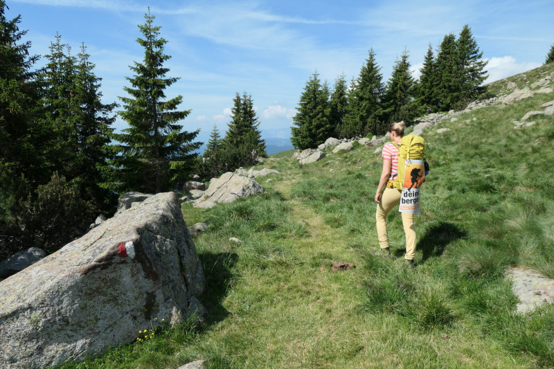 Rittner-Horn-Haus - Sarner Scharte - Villanderer Berg - Pfroderalm - Stfflhtte
