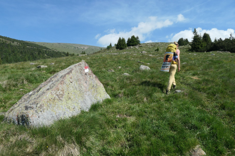 Rittner-Horn-Haus - Sarner Scharte - Villanderer Berg - Pfroderalm - Stfflhtte