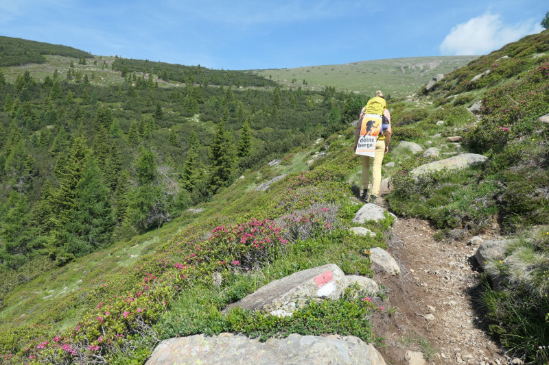 Rittner-Horn-Haus - Sarner Scharte - Villanderer Berg - Pfroderalm - Stfflhtte