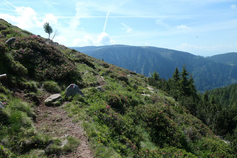 Rittner-Horn-Haus - Sarner Scharte - Villanderer Berg - Pfroderalm - Stfflhtte
