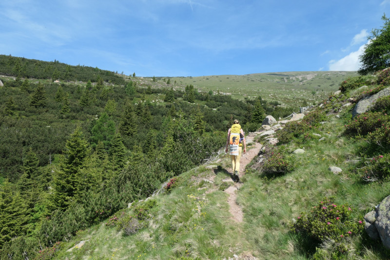Rittner-Horn-Haus - Sarner Scharte - Villanderer Berg - Pfroderalm - Stfflhtte