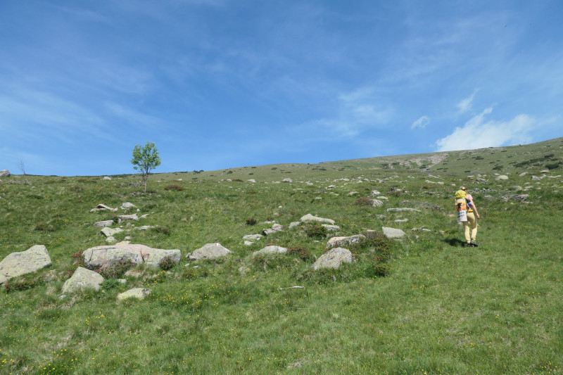 Rittner-Horn-Haus - Sarner Scharte - Villanderer Berg - Pfroderalm - Stfflhtte