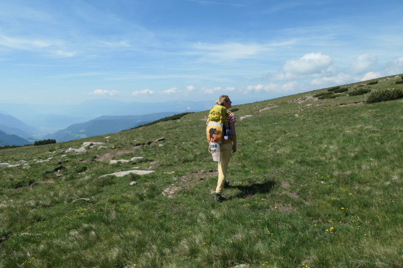 Rittner-Horn-Haus - Sarner Scharte - Villanderer Berg - Pfroderalm - Stfflhtte