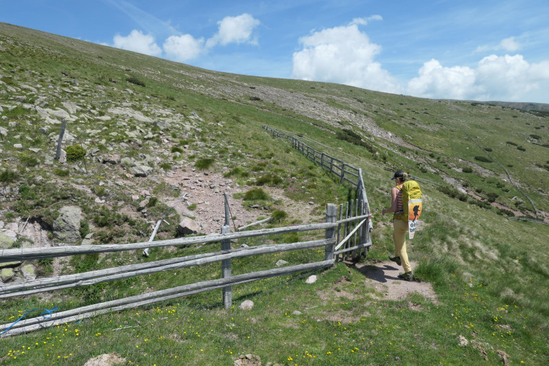 Rittner-Horn-Haus - Sarner Scharte - Villanderer Berg - Pfroderalm - Stfflhtte
