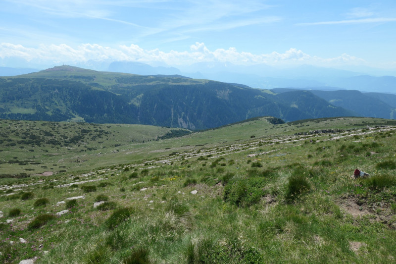 Rittner-Horn-Haus - Sarner Scharte - Villanderer Berg - Pfroderalm - Stfflhtte
