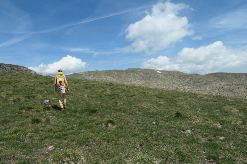 Rittner-Horn-Haus - Sarner Scharte - Villanderer Berg - Pfroderalm - Stfflhtte