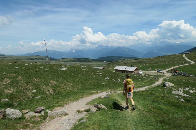 Rittner-Horn-Haus - Sarner Scharte - Villanderer Berg - Pfroderalm - Stfflhtte