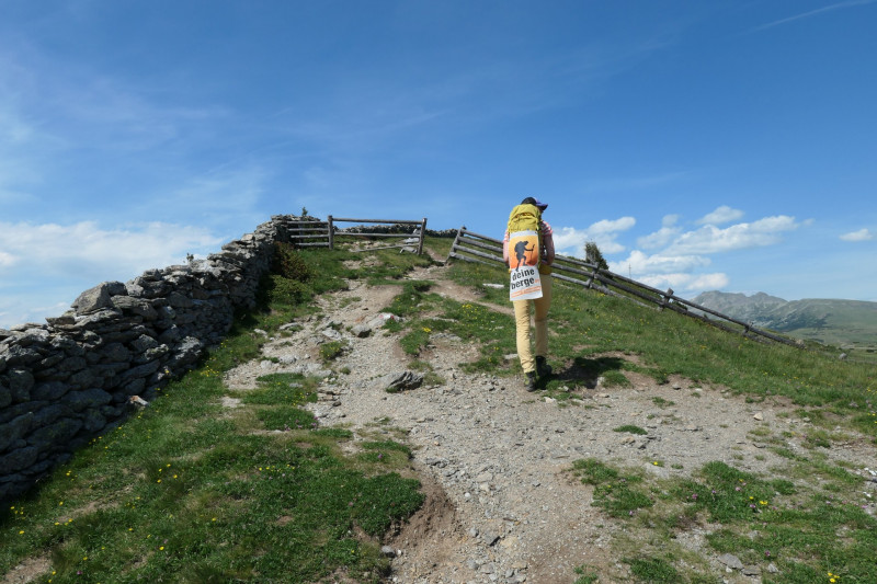 Rittner-Horn-Haus - Sarner Scharte - Villanderer Berg - Pfroderalm - Stfflhtte