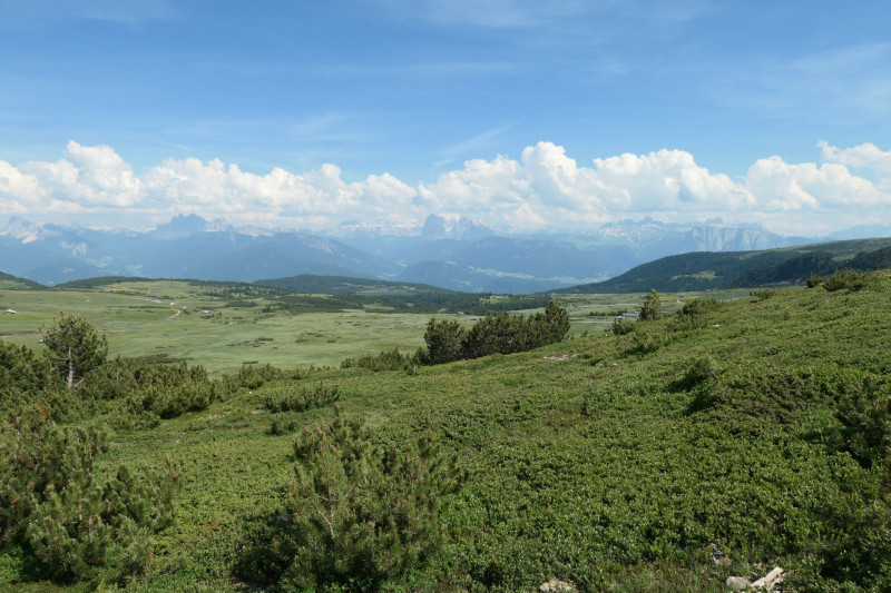 Rittner-Horn-Haus - Sarner Scharte - Villanderer Berg - Pfroderalm - Stfflhtte